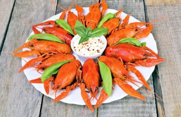 365 рецептов вкусной русской кухни 365 рецептов вкусной русской кухни