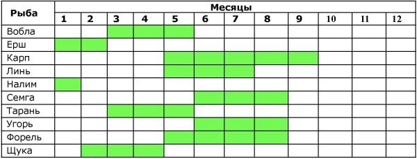 Готовим рыбу Готовим рыбу