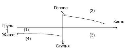 Оздоровительные упражнения Древнего Китая Оздоровительные упражнения Древнего Китая