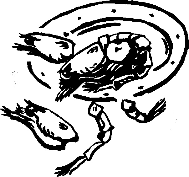 Жратва Жратва