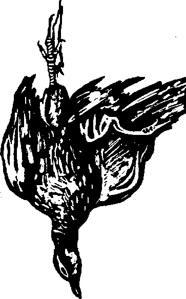 Жратва Жратва