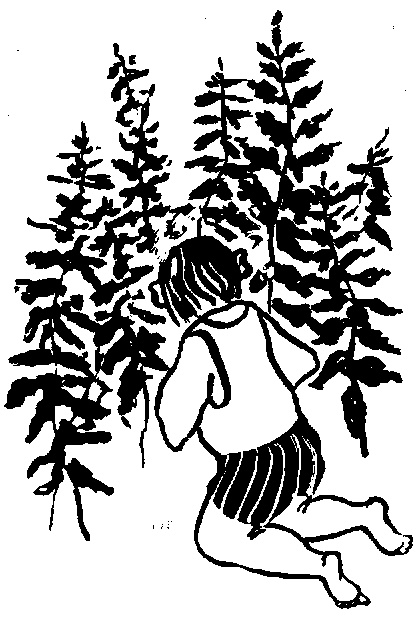 Жратва Жратва