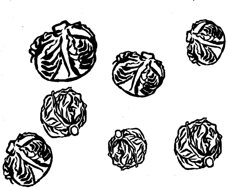 Жратва Жратва