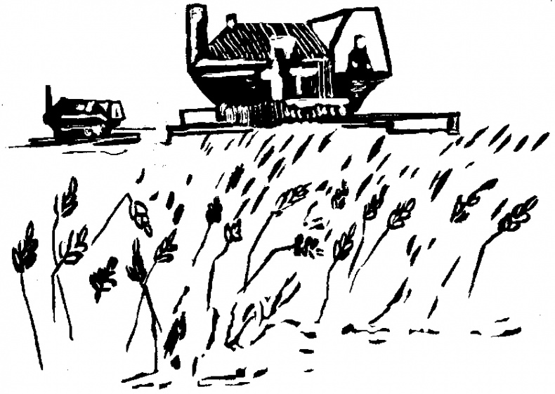 Жратва Жратва