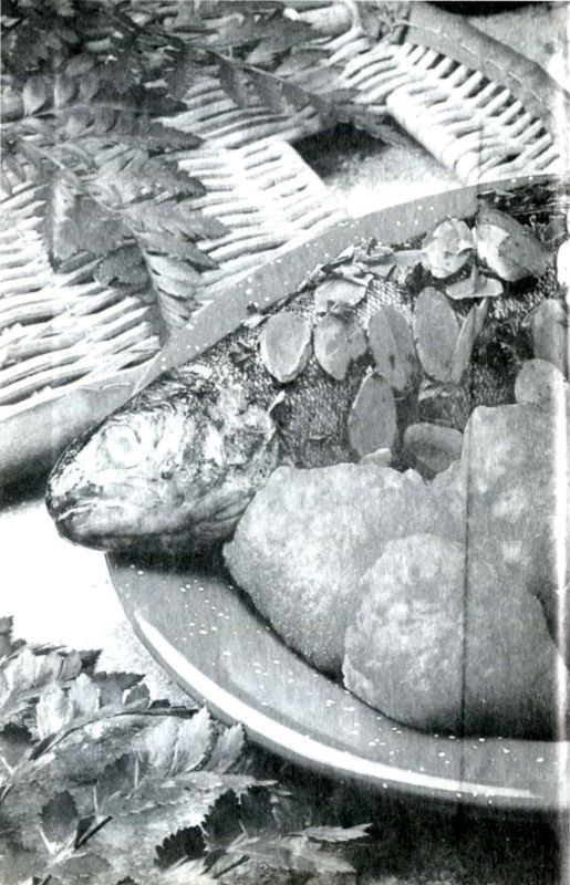 Все о еврейской кухне Все о еврейской кухне