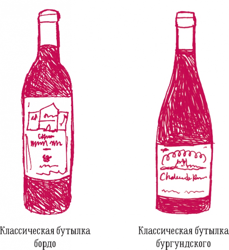 Винный эксперт за 24 часа Винный эксперт за 24 часа