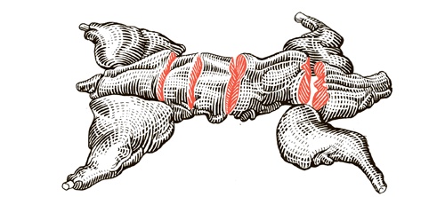 Сам себе шеф-повар. Как научиться готовить без рецептов Сам себе шеф-повар. Как научиться готовить без рецептов