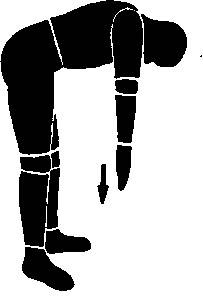 Здоровая спина за 10 минут в день Здоровая спина за 10 минут в день