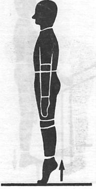 Здоровая спина за 10 минут в день Здоровая спина за 10 минут в день