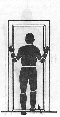 Здоровая спина за 10 минут в день