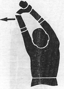 Здоровая спина за 10 минут в день Здоровая спина за 10 минут в день