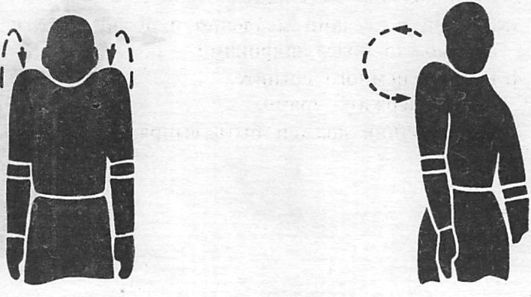 Здоровая спина за 10 минут в день Здоровая спина за 10 минут в день