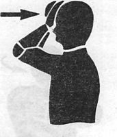 Здоровая спина за 10 минут в день Здоровая спина за 10 минут в день