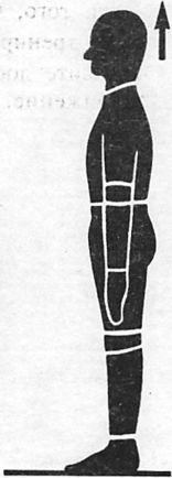 Здоровая спина за 10 минут в день Здоровая спина за 10 минут в день