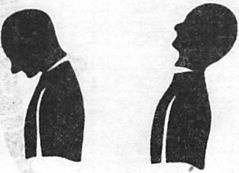 Здоровая спина за 10 минут в день Здоровая спина за 10 минут в день