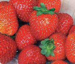 Кулинарная коллекция. Шаг за шагом Кулинарная коллекция. Шаг за шагом