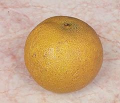 Кулинарная коллекция. Шаг за шагом Кулинарная коллекция. Шаг за шагом