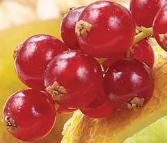 Кулинарная коллекция. Шаг за шагом Кулинарная коллекция. Шаг за шагом