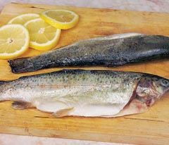 Кулинарная коллекция. Шаг за шагом Кулинарная коллекция. Шаг за шагом