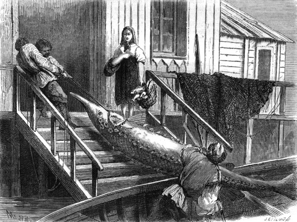 Непридуманная история русских продуктов. От Киевской Руси до СССР Непридуманная история русских продуктов. От Киевской Руси до СССР