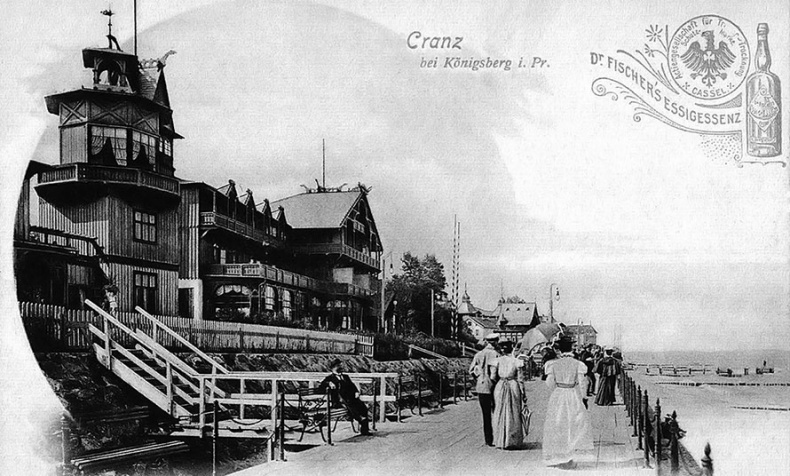 Золотая тень Кёнигсберга Золотая тень Кёнигсберга