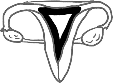 Viva la vagina. Хватит замалчивать скрытые возможности органа, который не принято называть Viva la vagina. Хватит замалчивать скрытые возможности органа, который не принято называть