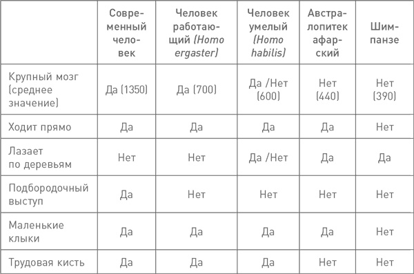 Мифы об эволюции человека Мифы об эволюции человека