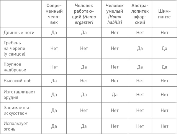 Мифы об эволюции человека Мифы об эволюции человека