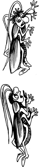 Тайны Чёрных Холмов Тайны Чёрных Холмов