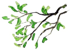 Каос и Бьёрнар Каос и Бьёрнар