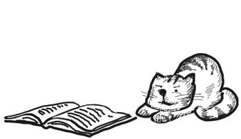 Успеть сделать, пока ребенок не вырос. Приключения, игры, опыты Успеть сделать, пока ребенок не вырос. Приключения, игры, опыты