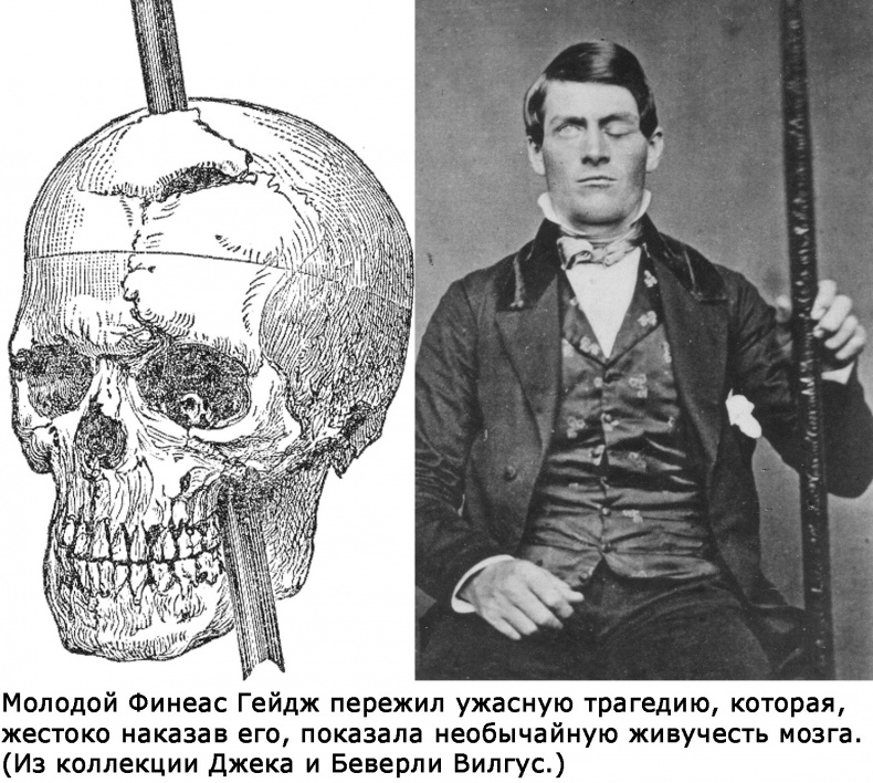 Два игрока на одном поле мозга Два игрока на одном поле мозга