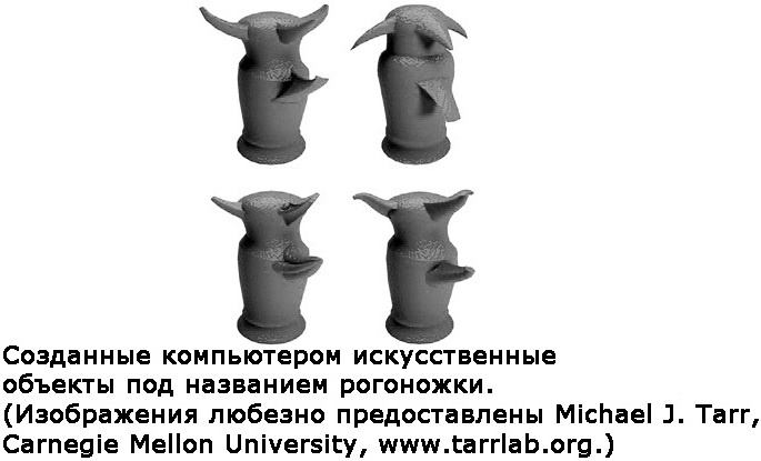 Два игрока на одном поле мозга Два игрока на одном поле мозга