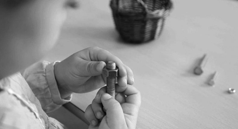 Законы естественного развития ребенка Законы естественного развития ребенка