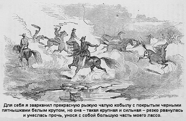 В индейских прериях и тылах мятежников. (Воспоминания техасского рейнджера и разведчика) В индейских прериях и тылах мятежников. (Воспоминания техасского рейнджера и разведчика)