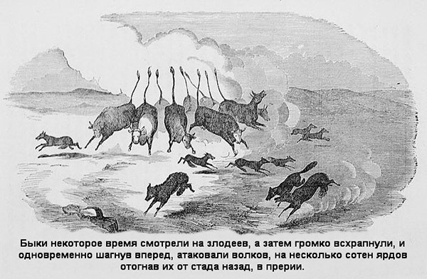 В индейских прериях и тылах мятежников. (Воспоминания техасского рейнджера и разведчика) В индейских прериях и тылах мятежников. (Воспоминания техасского рейнджера и разведчика)