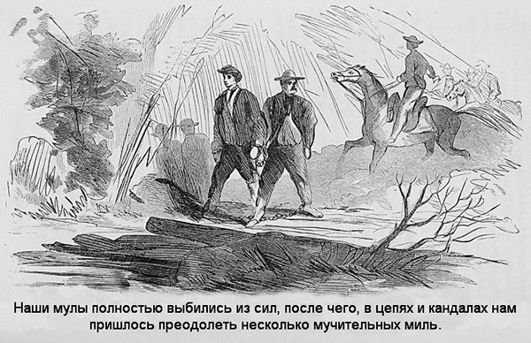 В индейских прериях и тылах мятежников. (Воспоминания техасского рейнджера и разведчика) В индейских прериях и тылах мятежников. (Воспоминания техасского рейнджера и разведчика)