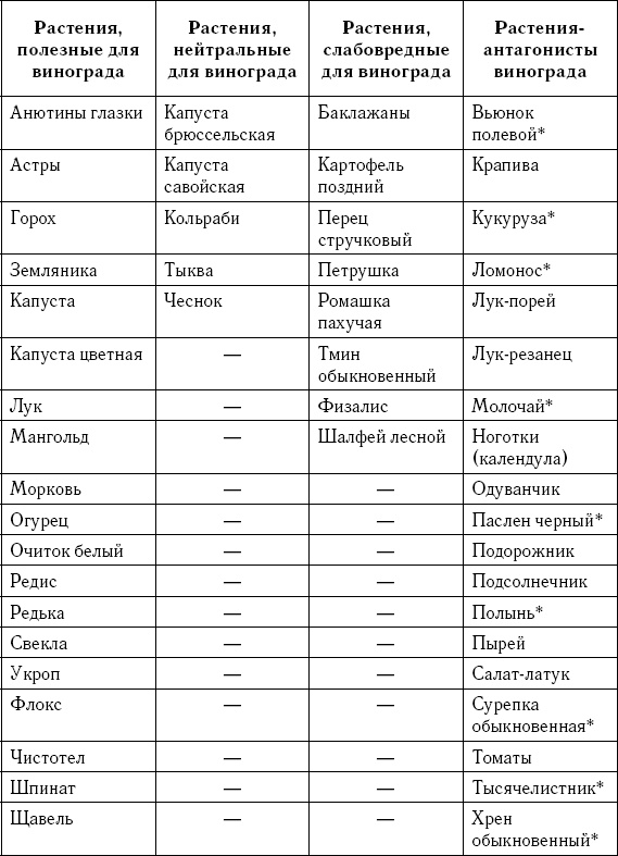 Умный виноградник без хлопот Умный виноградник без хлопот