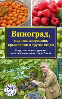 Виноград, малина, смородина, крыжовник и другие ягоды - Виктор Жвакин - Читать книги онлайн | Слушать аудиокниги онлайн | Электронная библиотека books-lib.com
