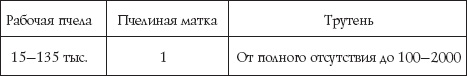 Пчеловодство для начинающих Пчеловодство для начинающих