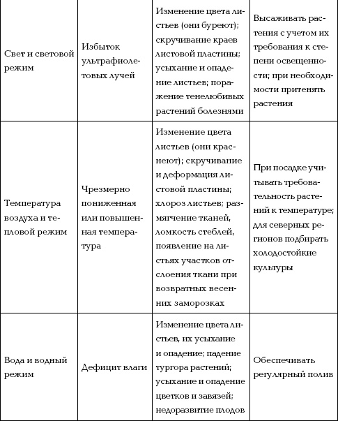 Отличный урожай круглый год Отличный урожай круглый год