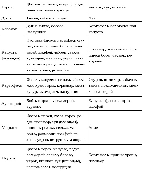 Отличный урожай круглый год Отличный урожай круглый год