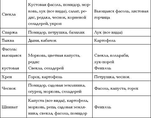 Отличный урожай круглый год Отличный урожай круглый год