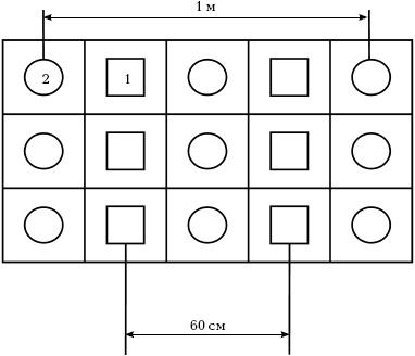Отличный урожай круглый год Отличный урожай круглый год
