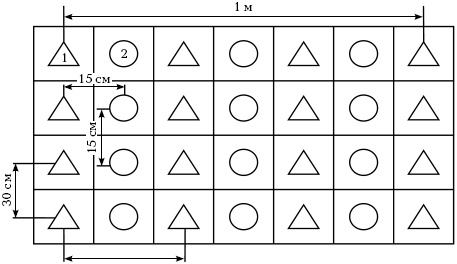 Отличный урожай круглый год Отличный урожай круглый год