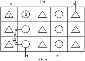 Отличный урожай круглый год Отличный урожай круглый год