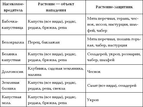 Отличный урожай круглый год Отличный урожай круглый год