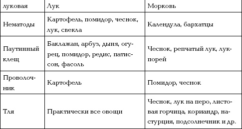 Отличный урожай круглый год Отличный урожай круглый год