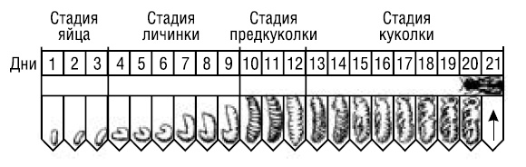 Полный справочник пчеловода Полный справочник пчеловода