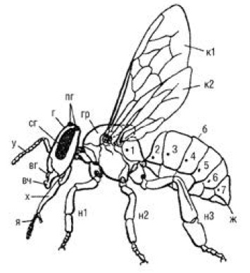 Полный справочник пчеловода Полный справочник пчеловода